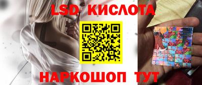 дмт Камышлов