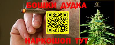 дмт Камышлов