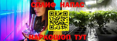 дмт Камышлов