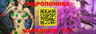 скорость Кандалакша