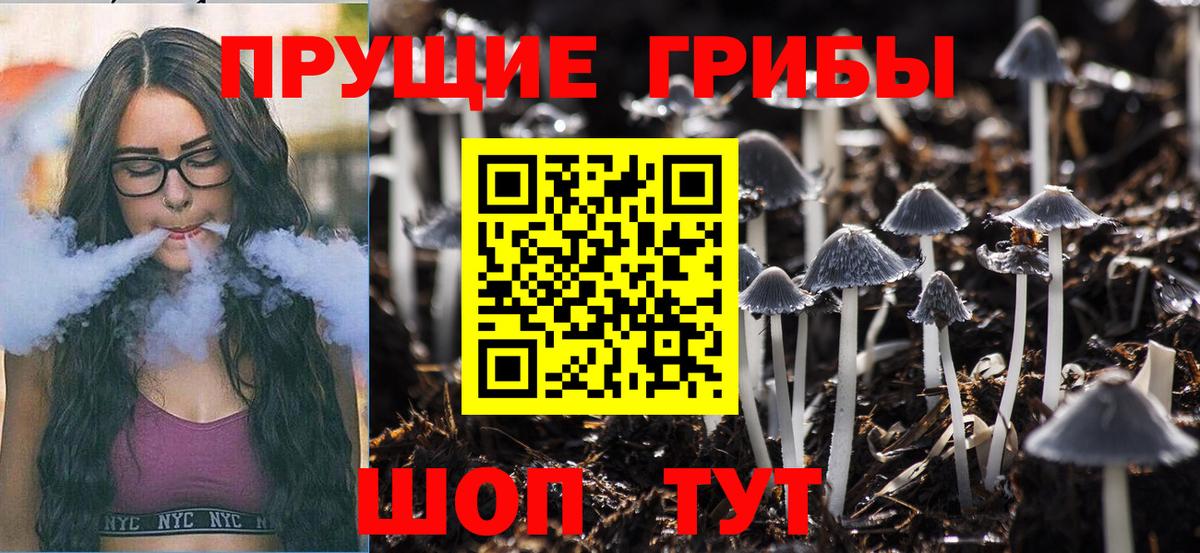Галлюциногенные грибы MAGIC MUSHROOMS  Вход с VPN  Каменск-Шахтинский 